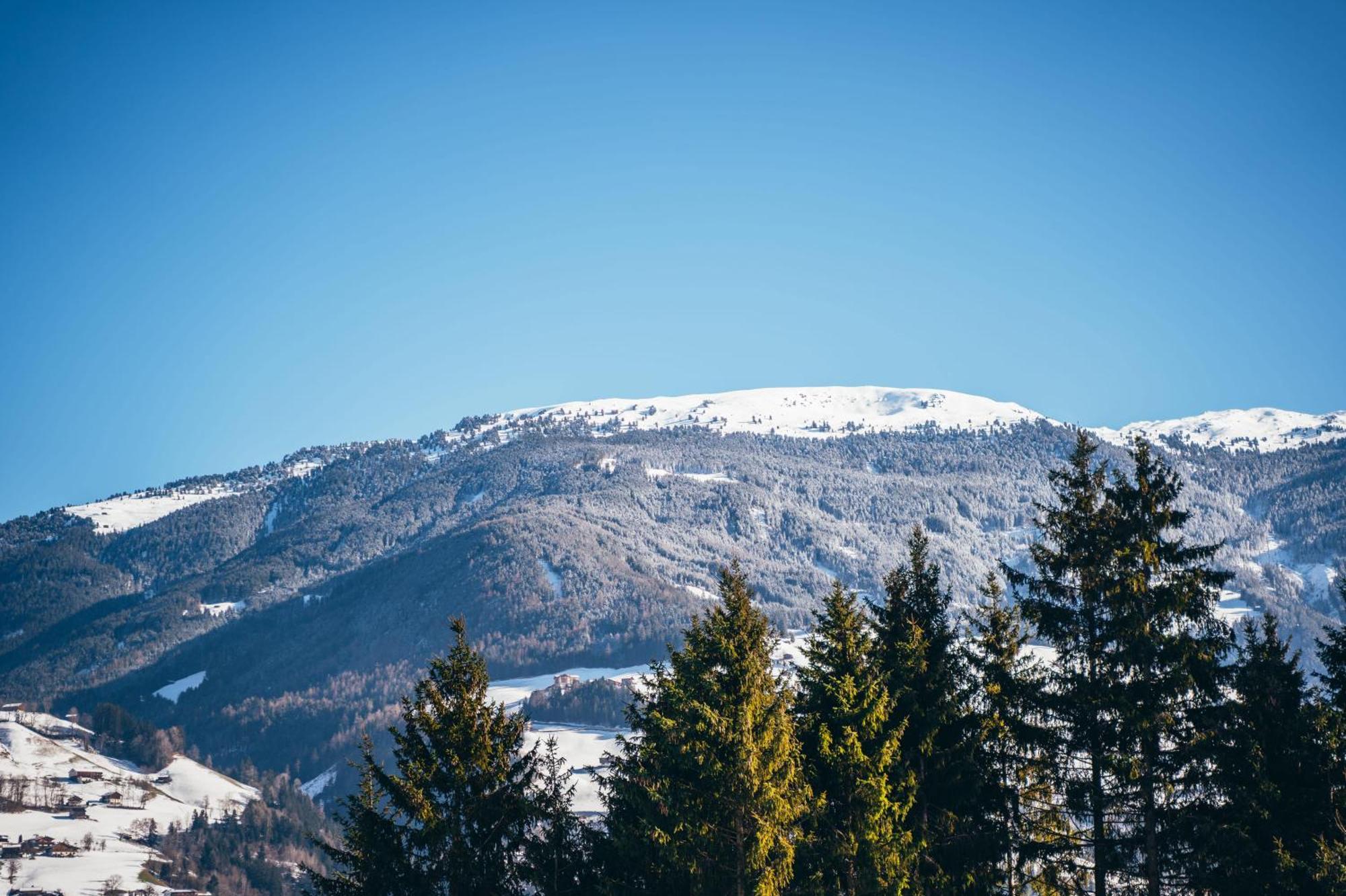 Chalet Wildruh Ried im Zillertal Dış mekan fotoğraf