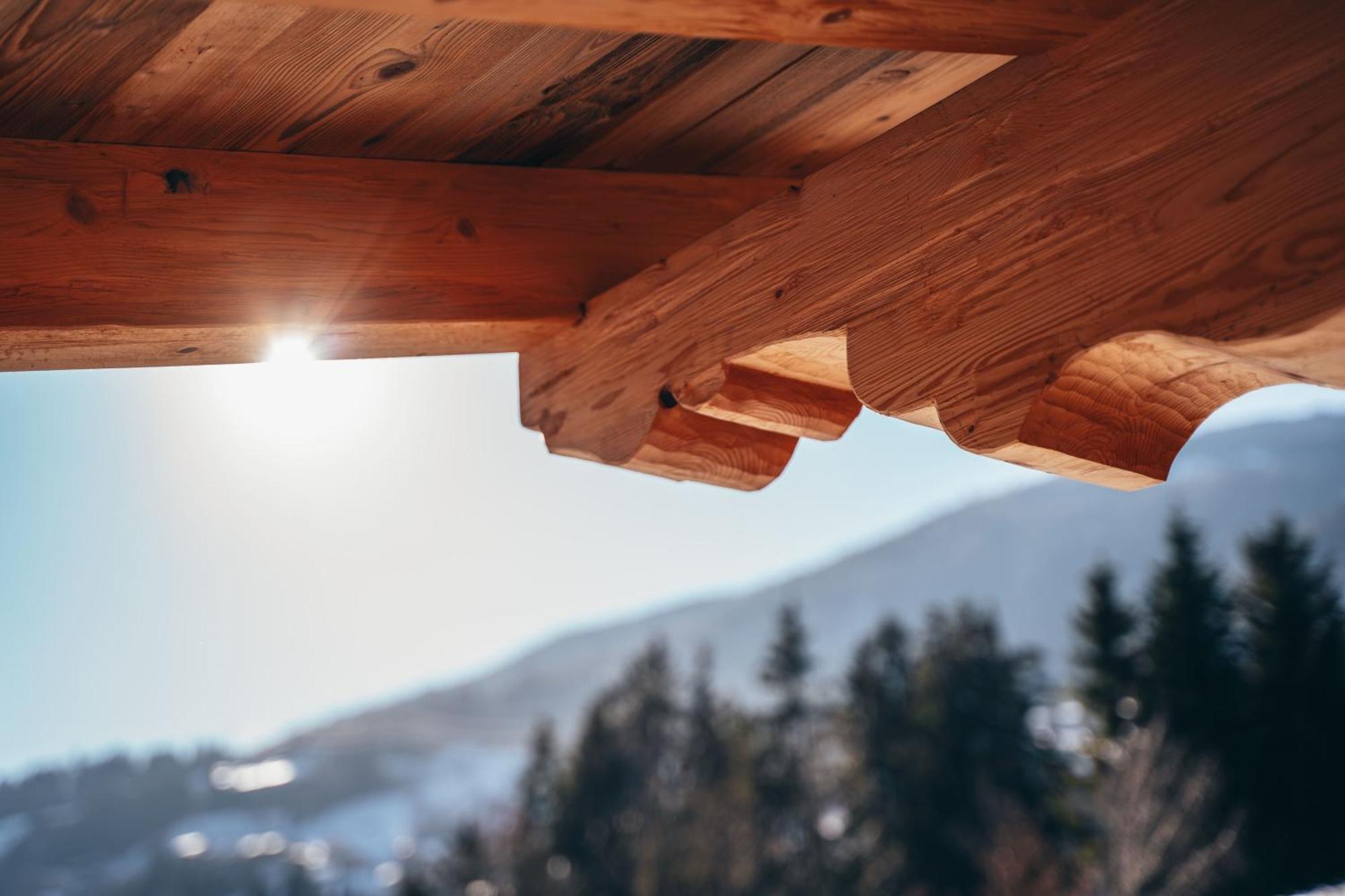 Chalet Wildruh Ried im Zillertal Dış mekan fotoğraf