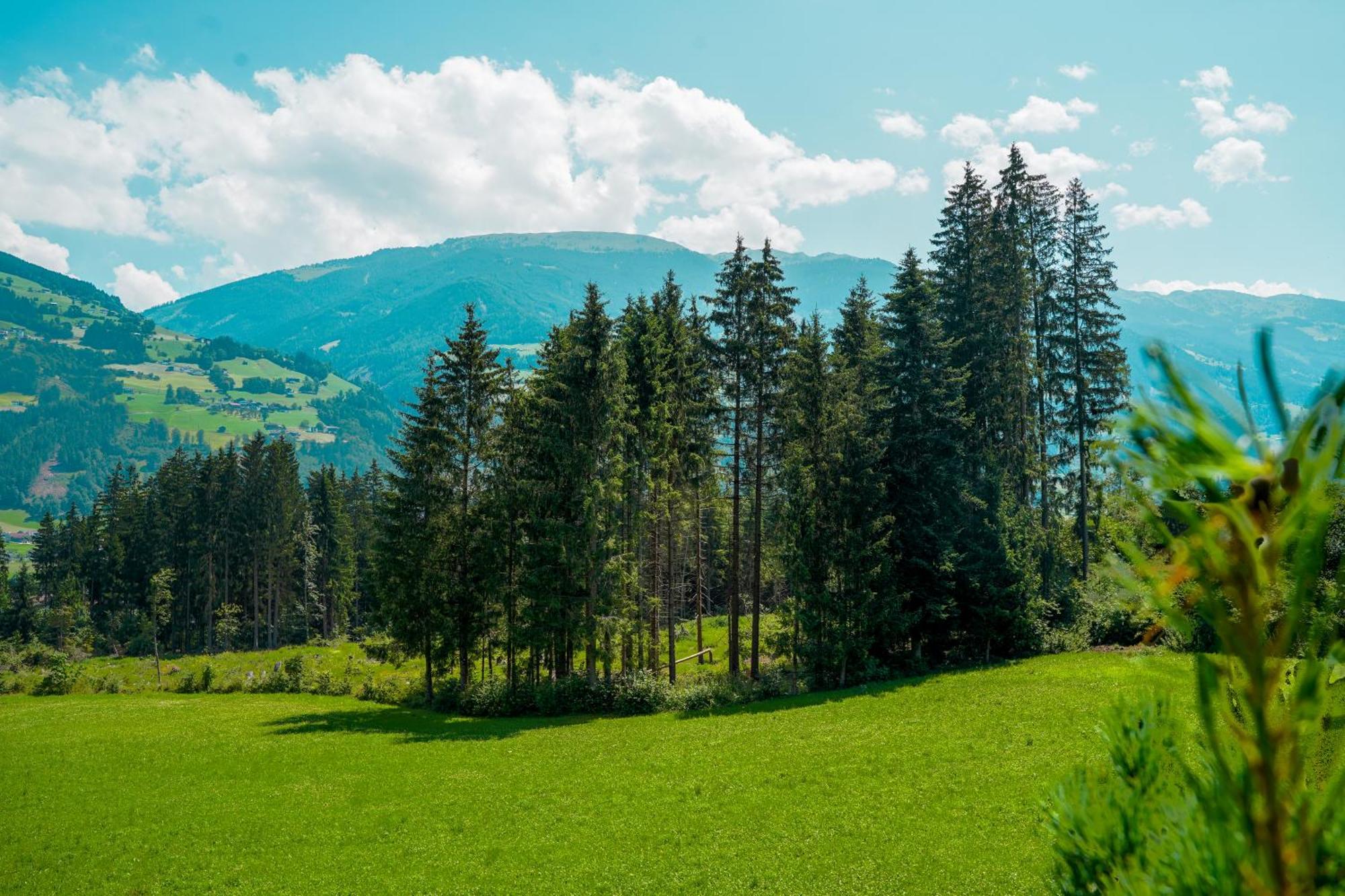 Chalet Wildruh Ried im Zillertal Dış mekan fotoğraf