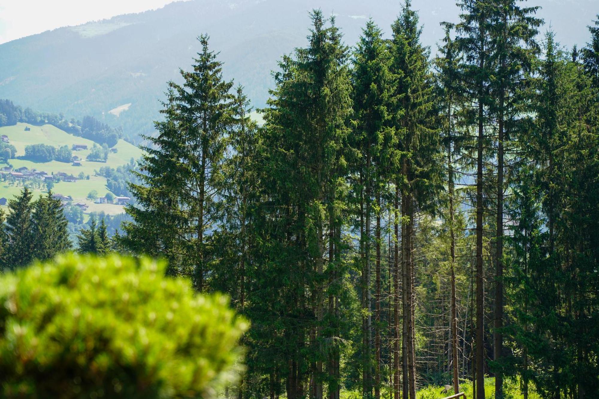 Chalet Wildruh Ried im Zillertal Dış mekan fotoğraf